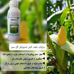 کاربرد استوکلر گل سم