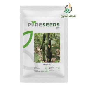 بذر خیار گلخانه ای کشیده بارمکس 505
