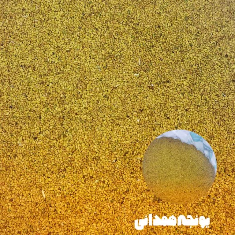 بذریونجه همدانی