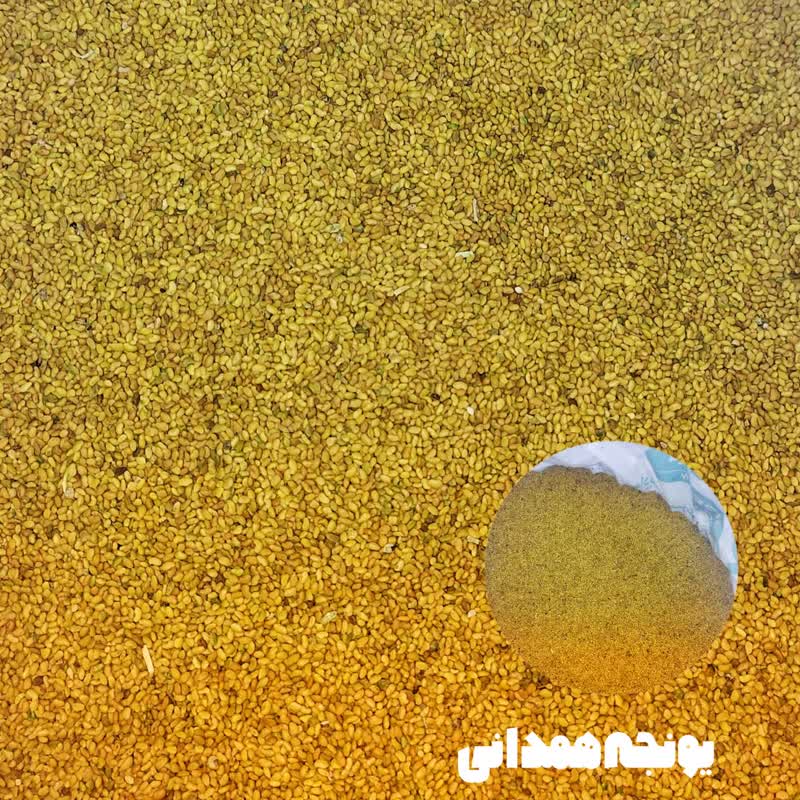 بذریونجه همدانی