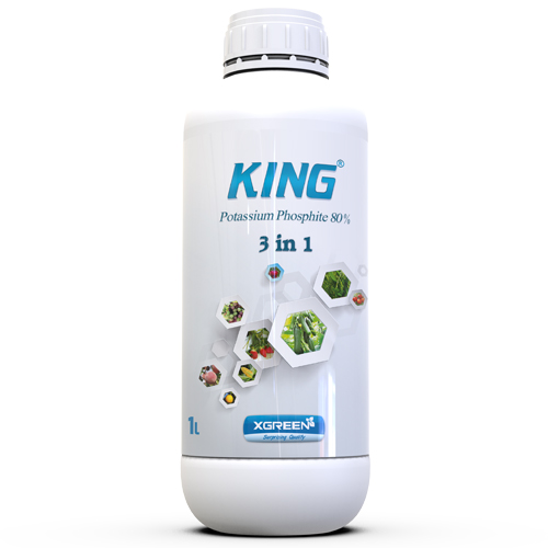 کینگ ایکس گرین
