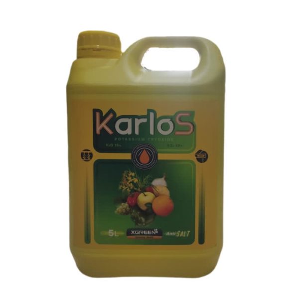 کارلوس 5 لیتری ایکس گرین