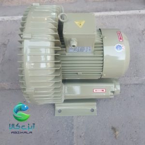 بلوئراستریم( سایدچنل) 2 اسب