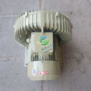 بلوئراستریم( سایدچنل) 2 اسب 2 سایدچنل استریم