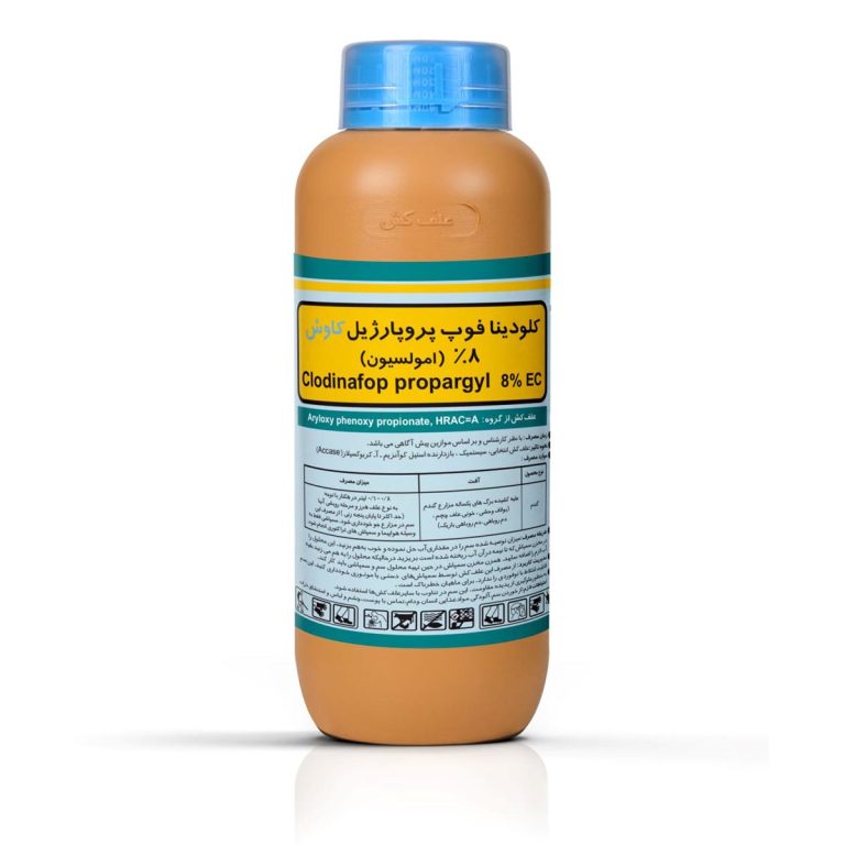تاپیک کاوش
