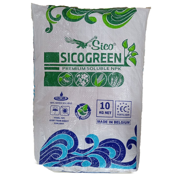 12-12-36 سیکو بلژیک