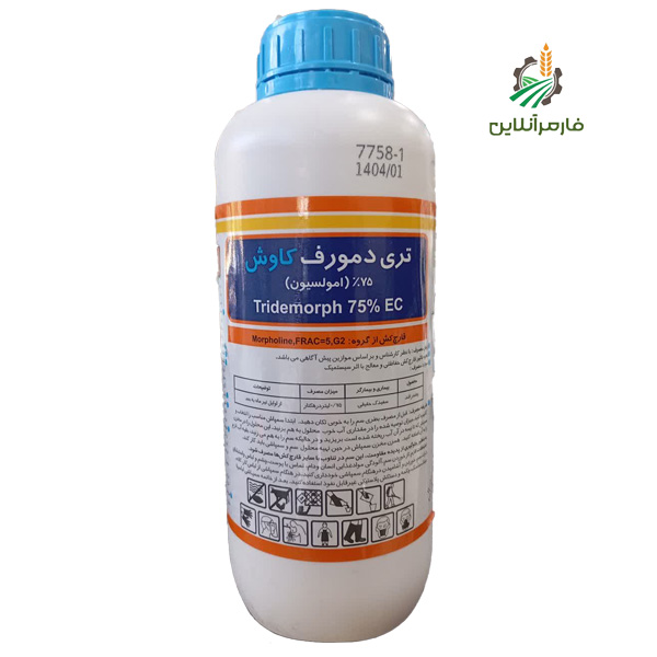 تری دمورف کاوش