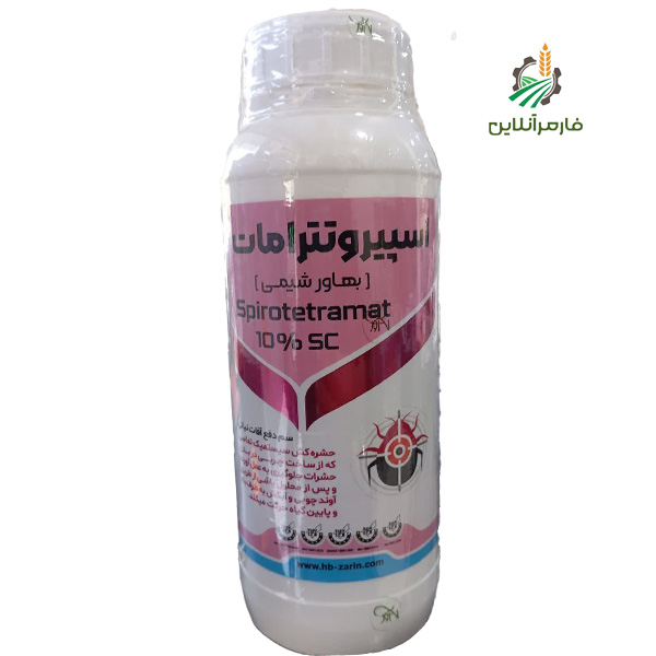 موونتو بهاور